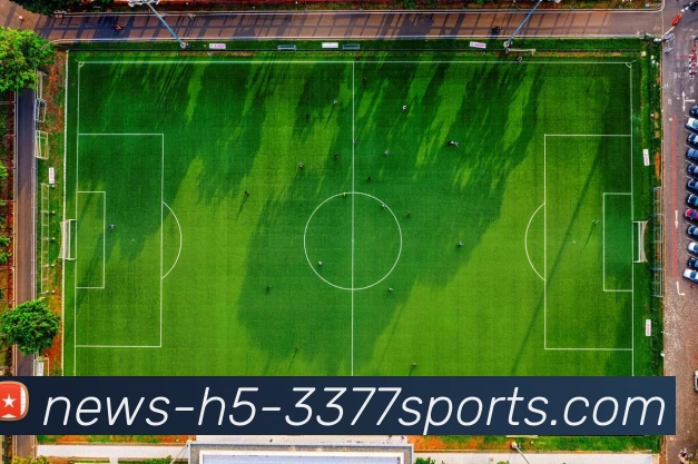 3377体育平台生态图