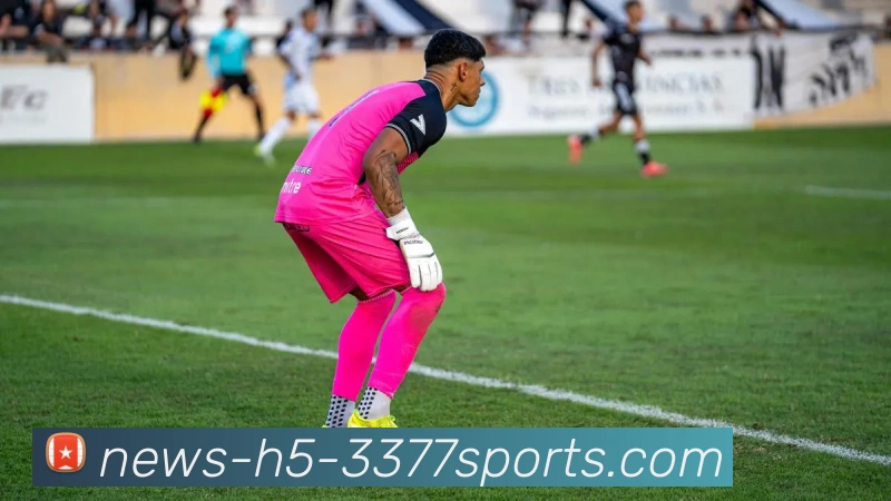 3377体育APP 封面图